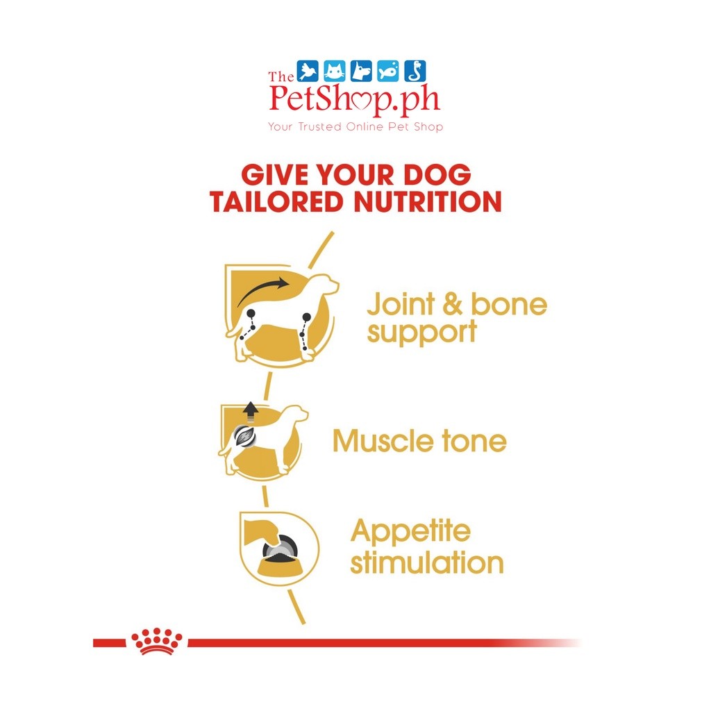 Royal Canin Dachshund Adult 85g Wet Dog Food  Breed Health Nutrition