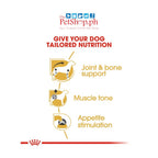Royal Canin Dachshund Adult 85g Wet Dog Food  Breed Health Nutrition