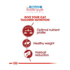 Royal Canin Fit 32 10kg Adult Dry Cat Food