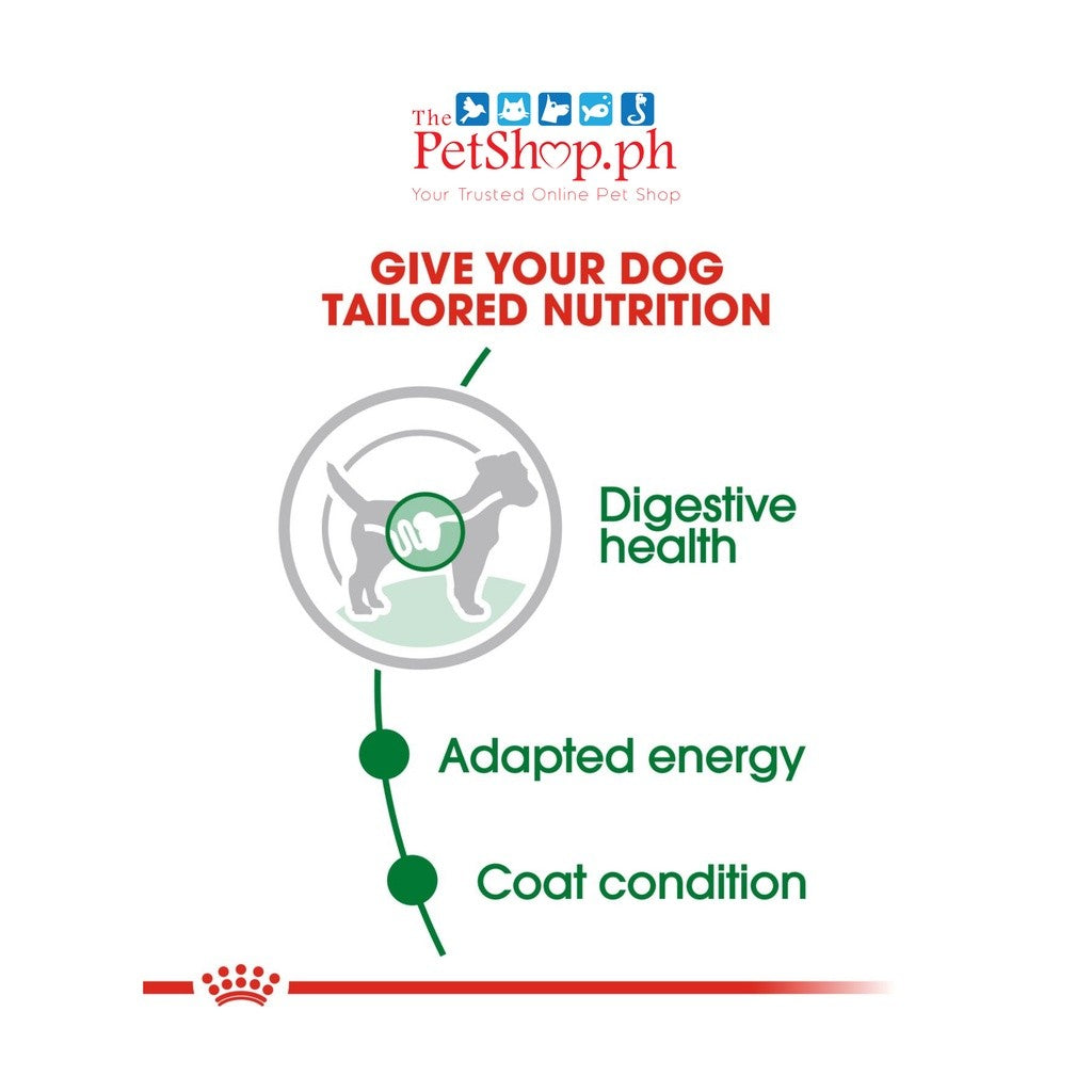 Royal Canin  Mini Adult 12's Wet Dog Food  - Set of  12  Size Health Nutrition