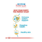 Royal Canin French Bulldog Puppy 3kg  Dry Dog Food Breed Health Nutrition - Royal Canin