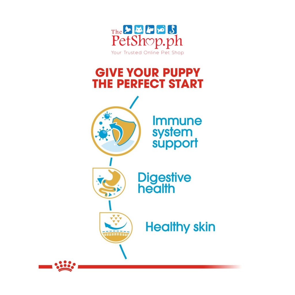 Royal Canin French Bulldog Puppy 3kg  Dry Dog Food Breed Health Nutrition - Royal Canin