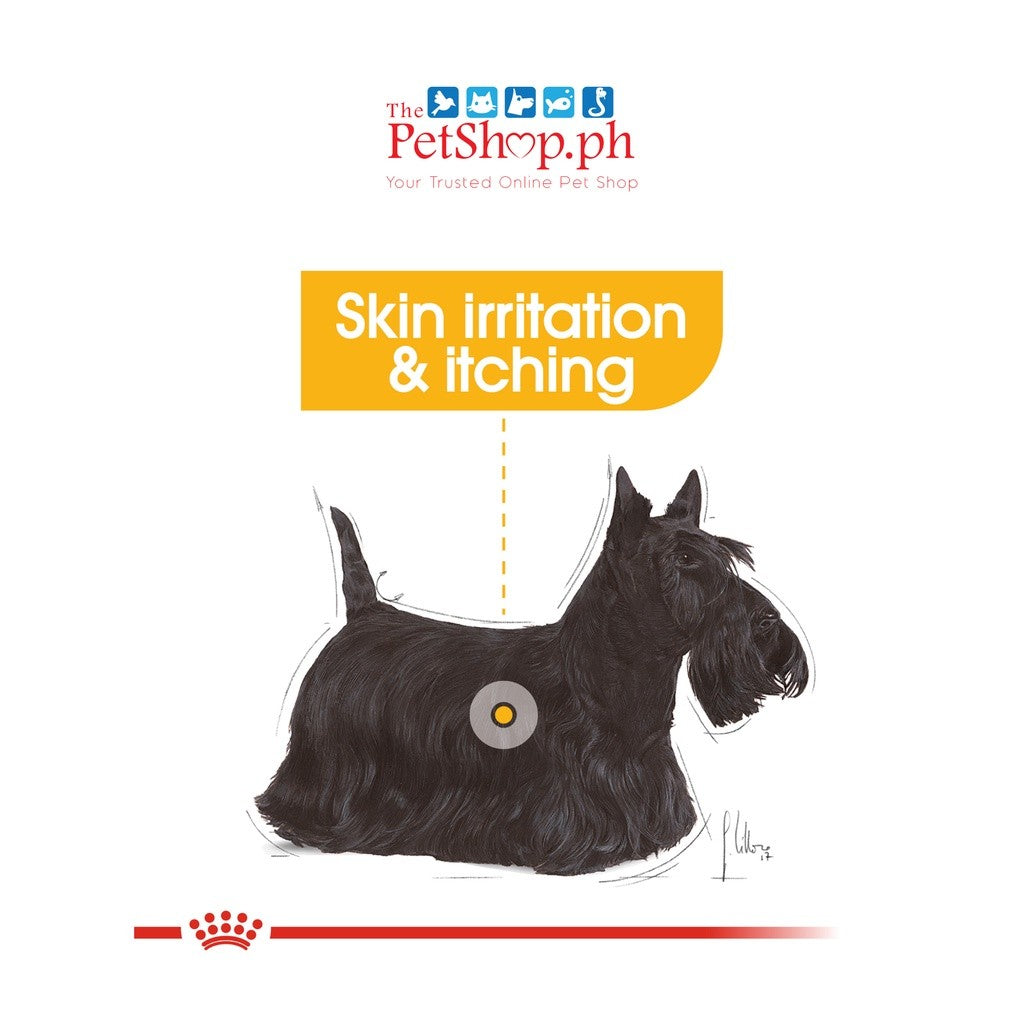 Royal Canin Mini Dermacomfort 8kg Adult Dry Dog Food Canine Care Nutrition - Royal Canin
