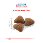 Royal Canin  Indoor 27 10kg  Adult Dry Cat Food - Royal Canin