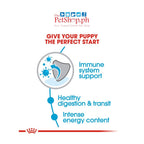 Royal Canin X-Small Puppy 500g Dry Dog Food Health Nutrition - Royal Canin