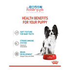 Royal Canin X-small Puppy 85g Pouch Wet Dog Food - Size Health Nutrition