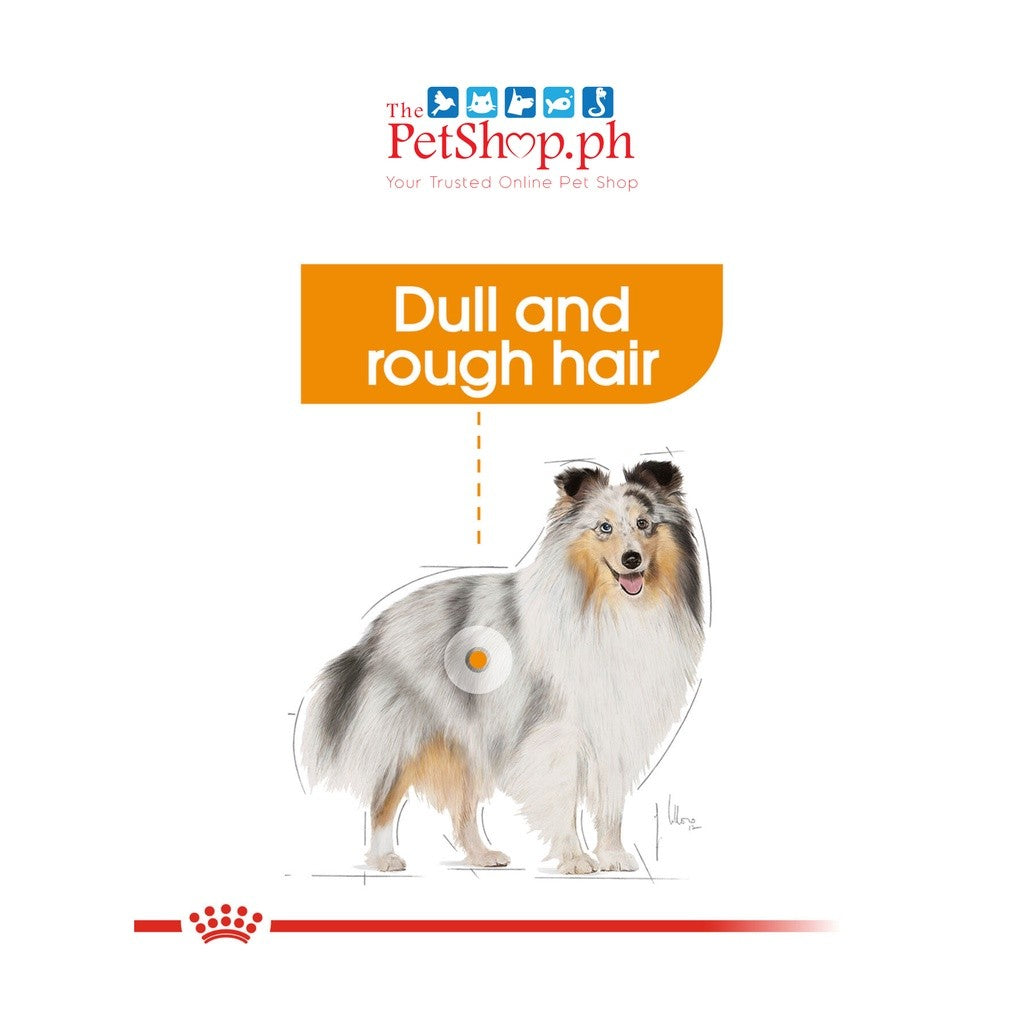 Royal Canin Coat Care Loaf 85g Dog Wet