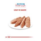 Royal Canin Coat Care Loaf 85g Dog Wet