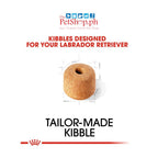 Royal Canin Labrador Retriever 3kg Adult Food-Breed Health Nutrition - Royal Canin