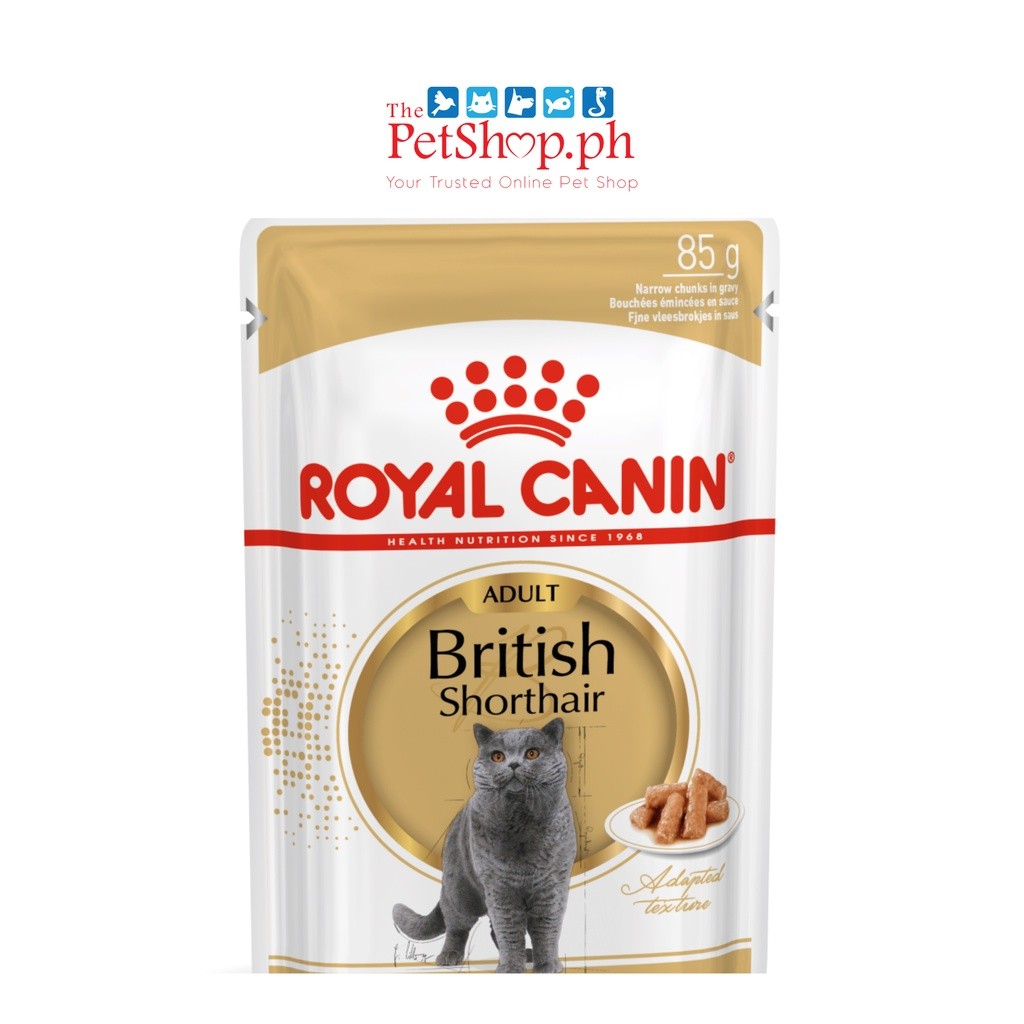 Royal Canin British Shorthair SET 12  Wet  Adult  Cat Food Feline Breed Nutrition 140g