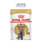 Royal Canin British Shorthair SET 12  Wet  Adult  Cat Food Feline Breed Nutrition 140g