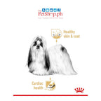 Royal Canin Shih Tzu SET 12's Adult Wet Dog Food Breed Health Nutrition