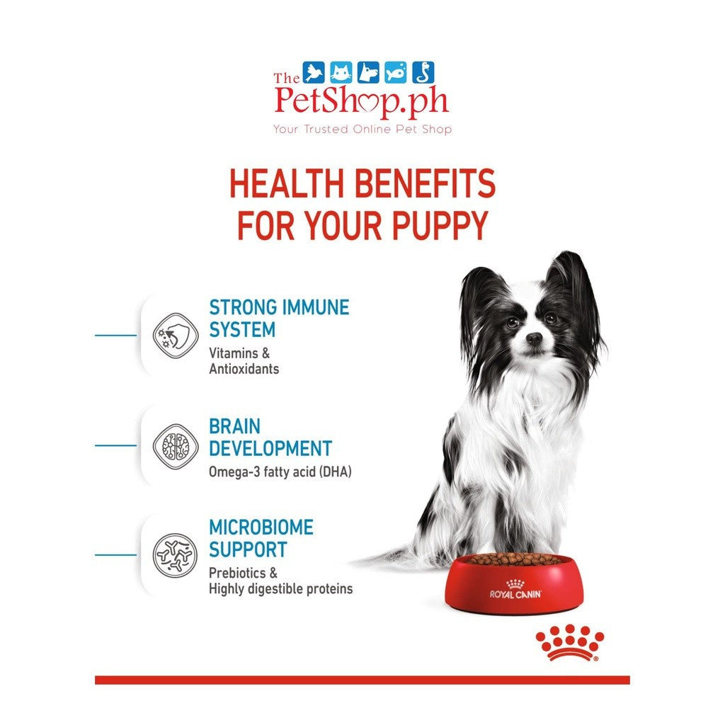 Royal Canin X-Small Puppy 1.5 kg  Dog Food - Size Health Nutrition