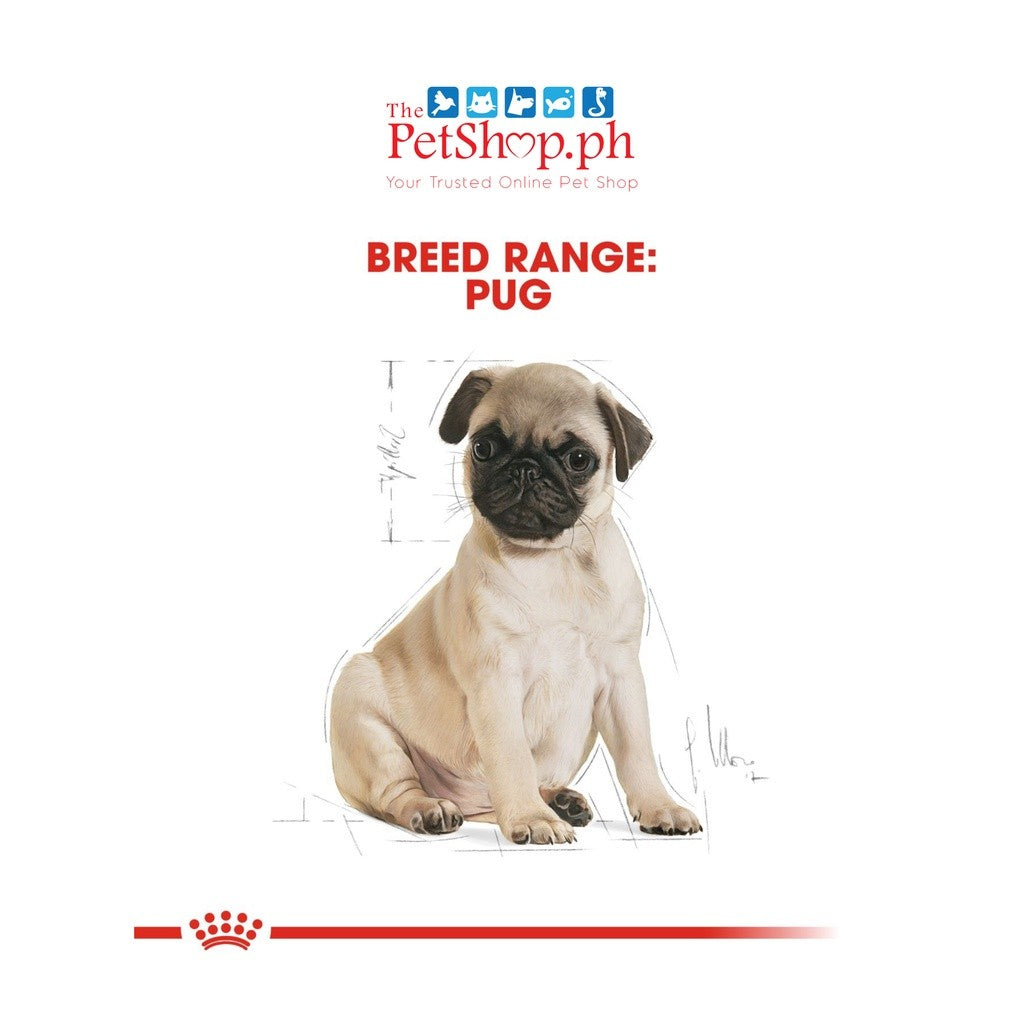 Royal Canin Pug Puppy 1.5kg Original Dry Dog Food Breed Health