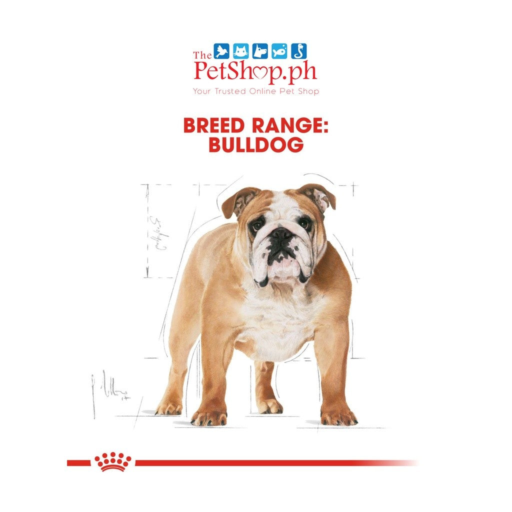Royal Canin  Bulldog Adult 3kg. Dry Dog Food  - Breed Health Nutrition