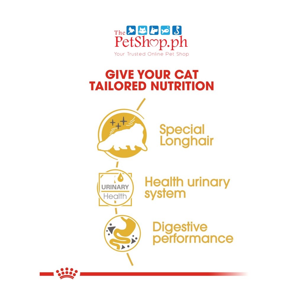 Royal Canin  Persian Adult Wet 85g Cat Food Feline Breed Nutrition
