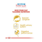 Royal Canin  Persian Adult Wet 85g Cat Food Feline Breed Nutrition