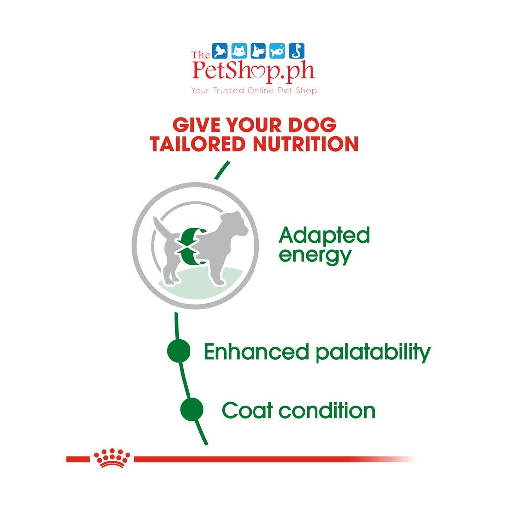 Royal Canin Mini Adult Food 8kg  Dog Food Size Health Nutrition