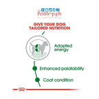 Royal Canin Mini Adult Food 8kg  Dog Food Size Health Nutrition