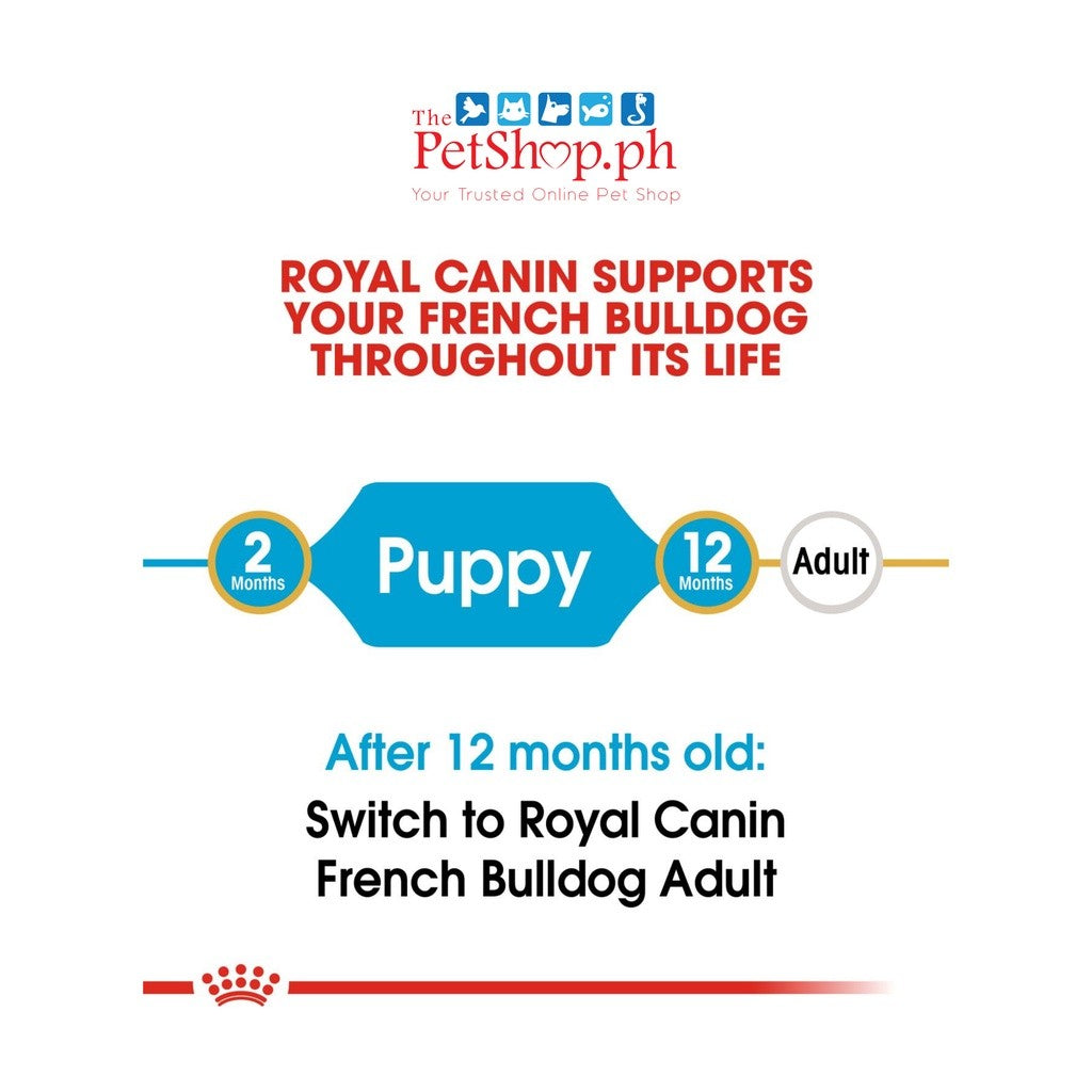 Royal Canin French Bulldog Puppy 3kg  Dry Dog Food Breed Health Nutrition - Royal Canin