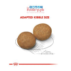 Royal Canin Medium Adult 1kg Dry Dog Food Size Health Nutrition