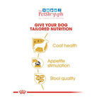 Royal Canin Yorkshire SET 12  Adult Pouch Wet Dog Food Breed Health Nutrition 85g