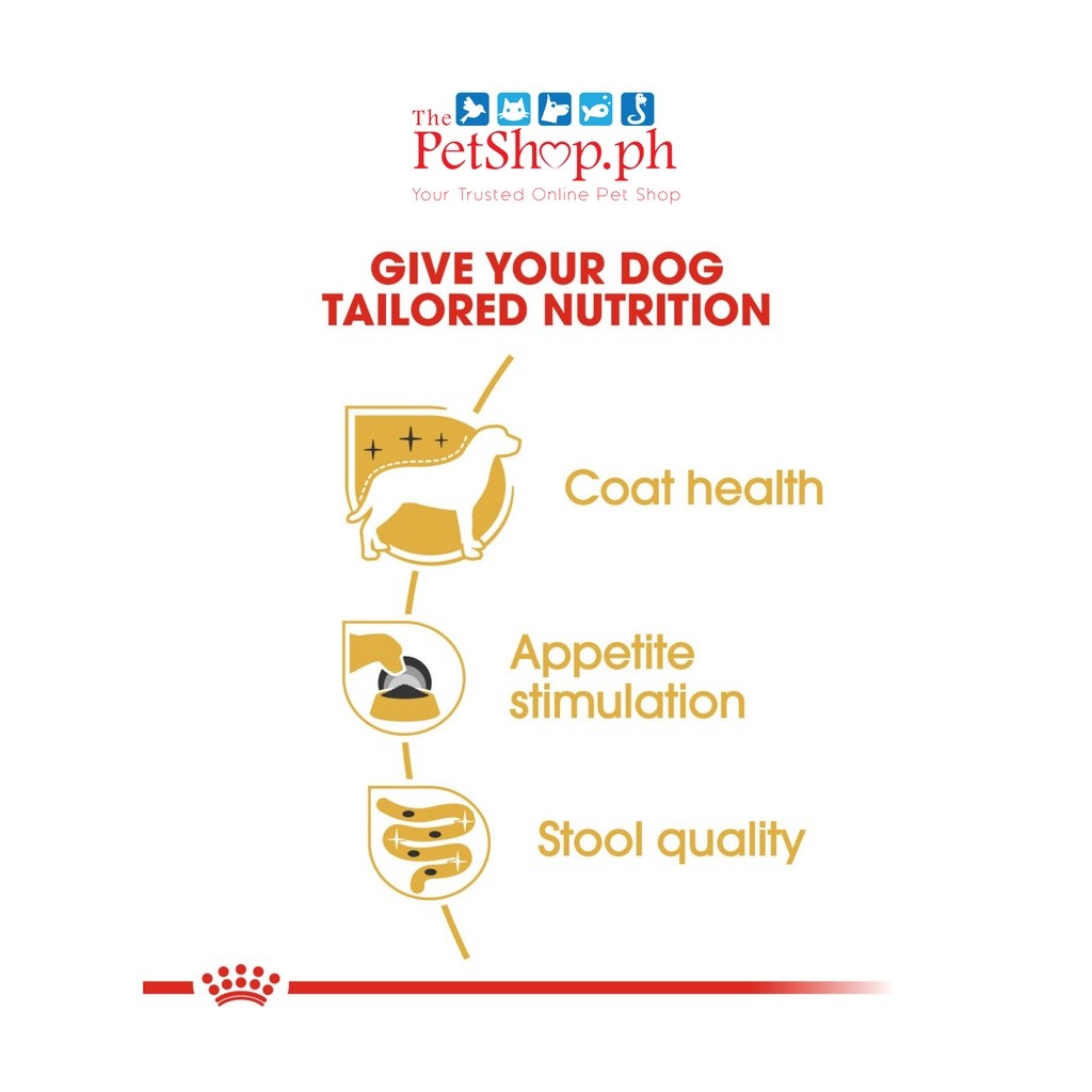 Royal Canin Yorkshire SET 12  Adult Pouch Wet Dog Food Breed Health Nutrition 85g