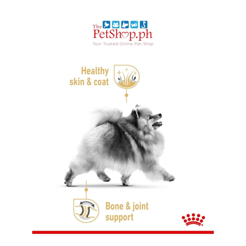 Royal Canin Pomeranian 12's Adult Wet Dog Food  Breed Health Nutrition Pouch set of 12