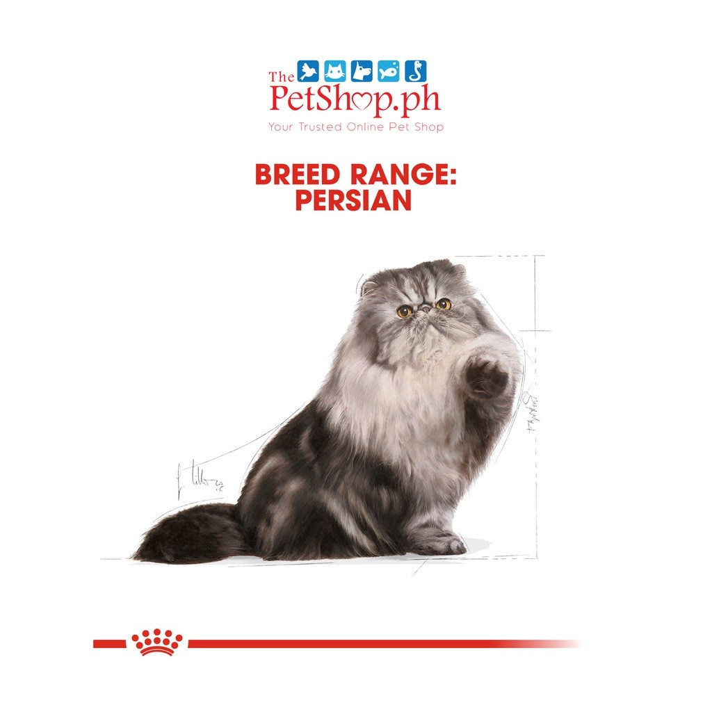 Royal Canin  Persian Adult 2KG Dry Cat Food Feline Breed Nutrition - Royal Canin