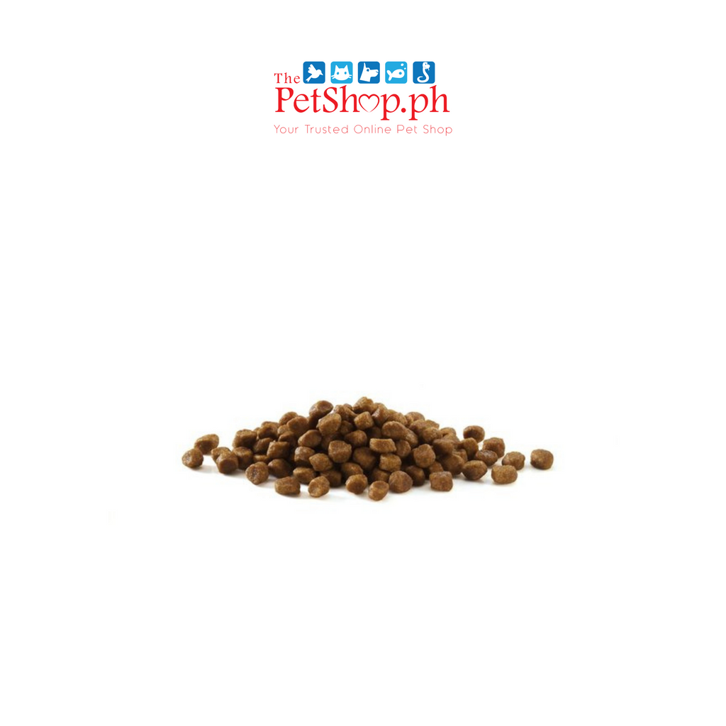 Acana First Feast Kitten Original Packaging 340kg