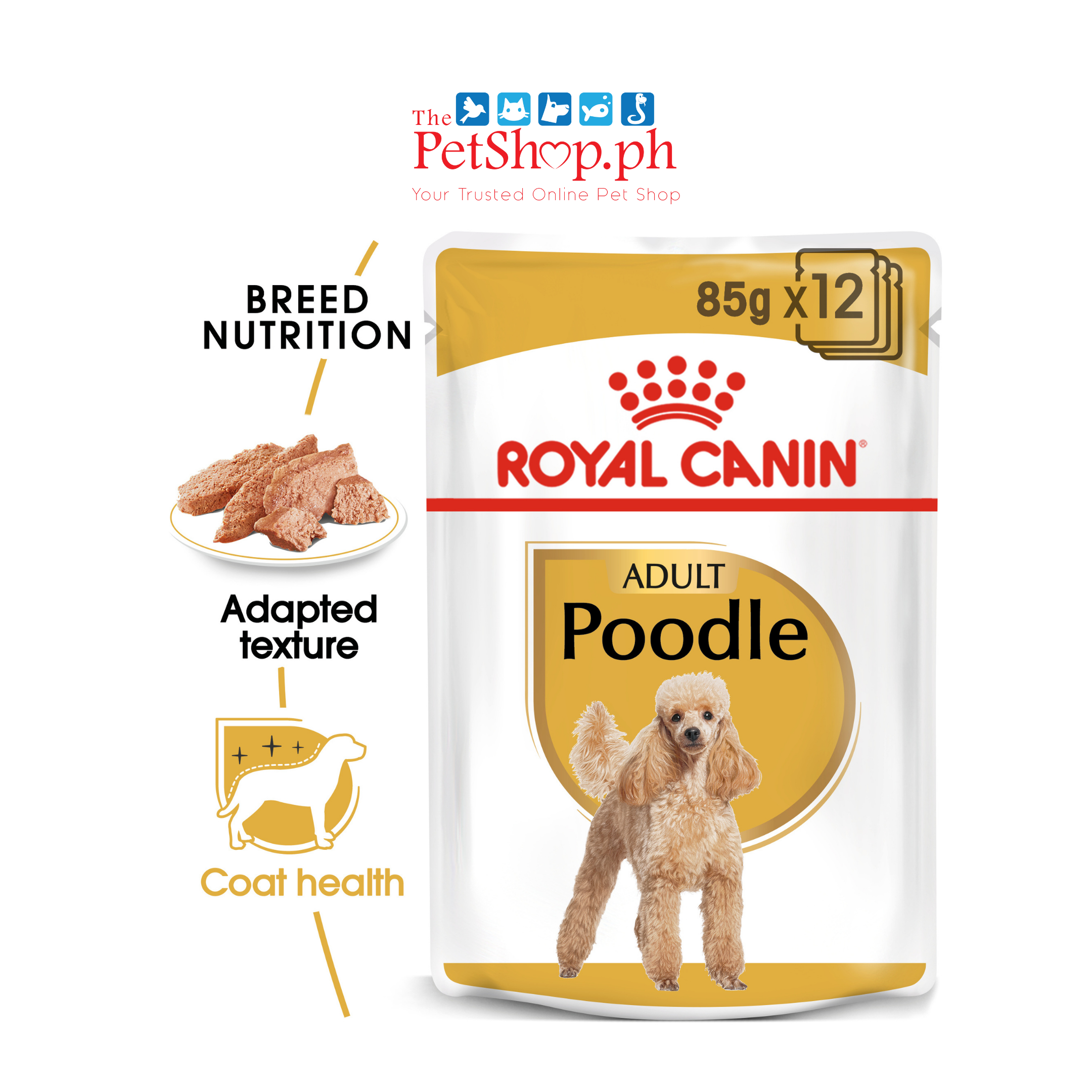 Royal Canin Poodle Adult 85g - Set of 12 Wet Dog Food Pouch