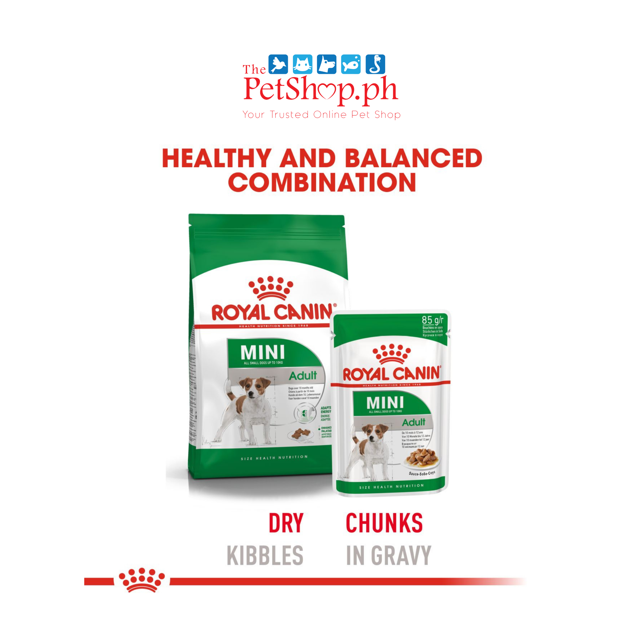 Royal Canin Mini Adult Wet Dog Food 85g -Size Health Nutrition