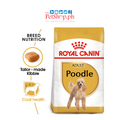 Royal Canin Poodle Adult Dry Dog