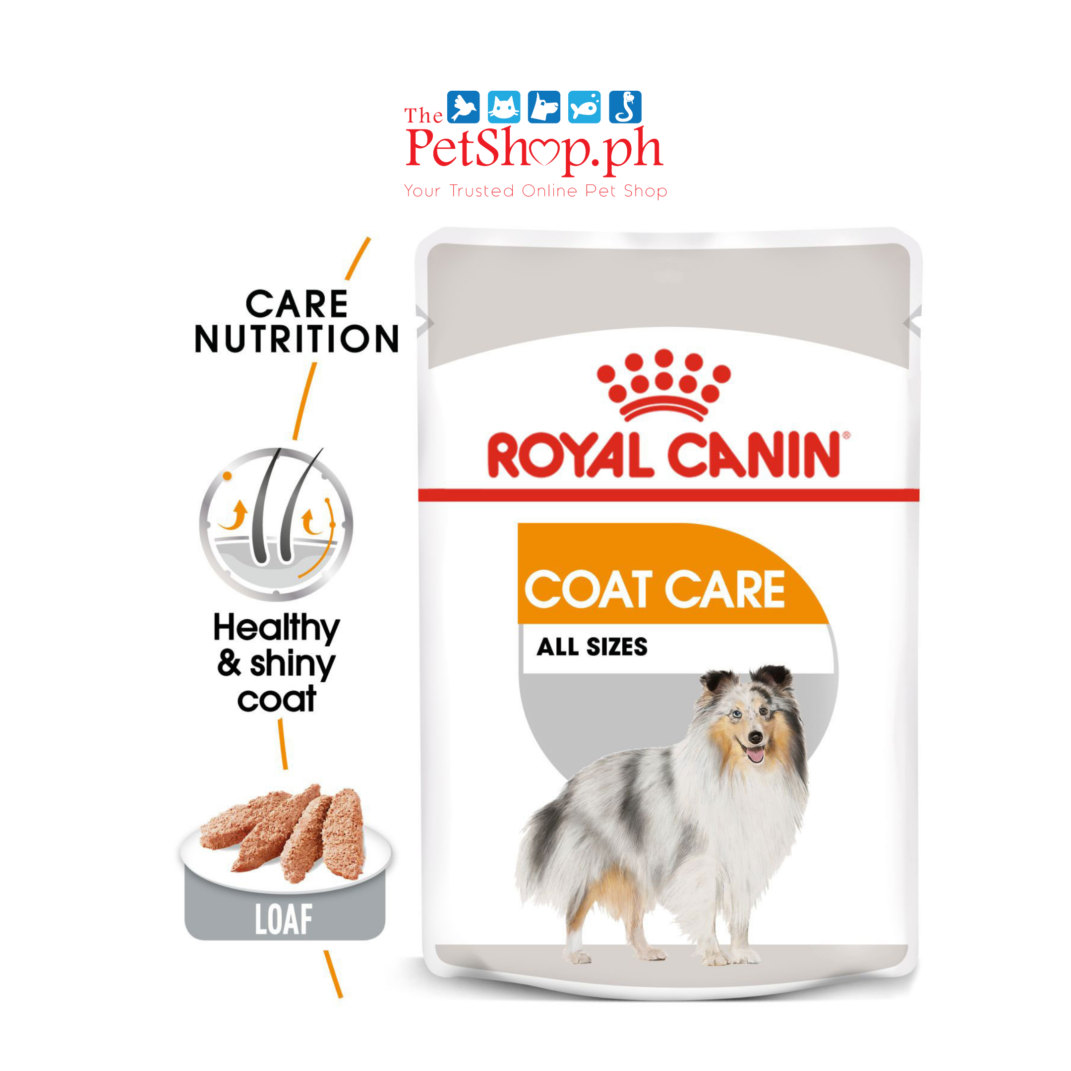 Royal Canin Coat Care 85g Set of 12 Adult Wet Dog Food -Canine Care Nutrition