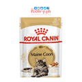 Royal Canin Feline Breed Nutrition Maine Coon Adult Wet Cat Food