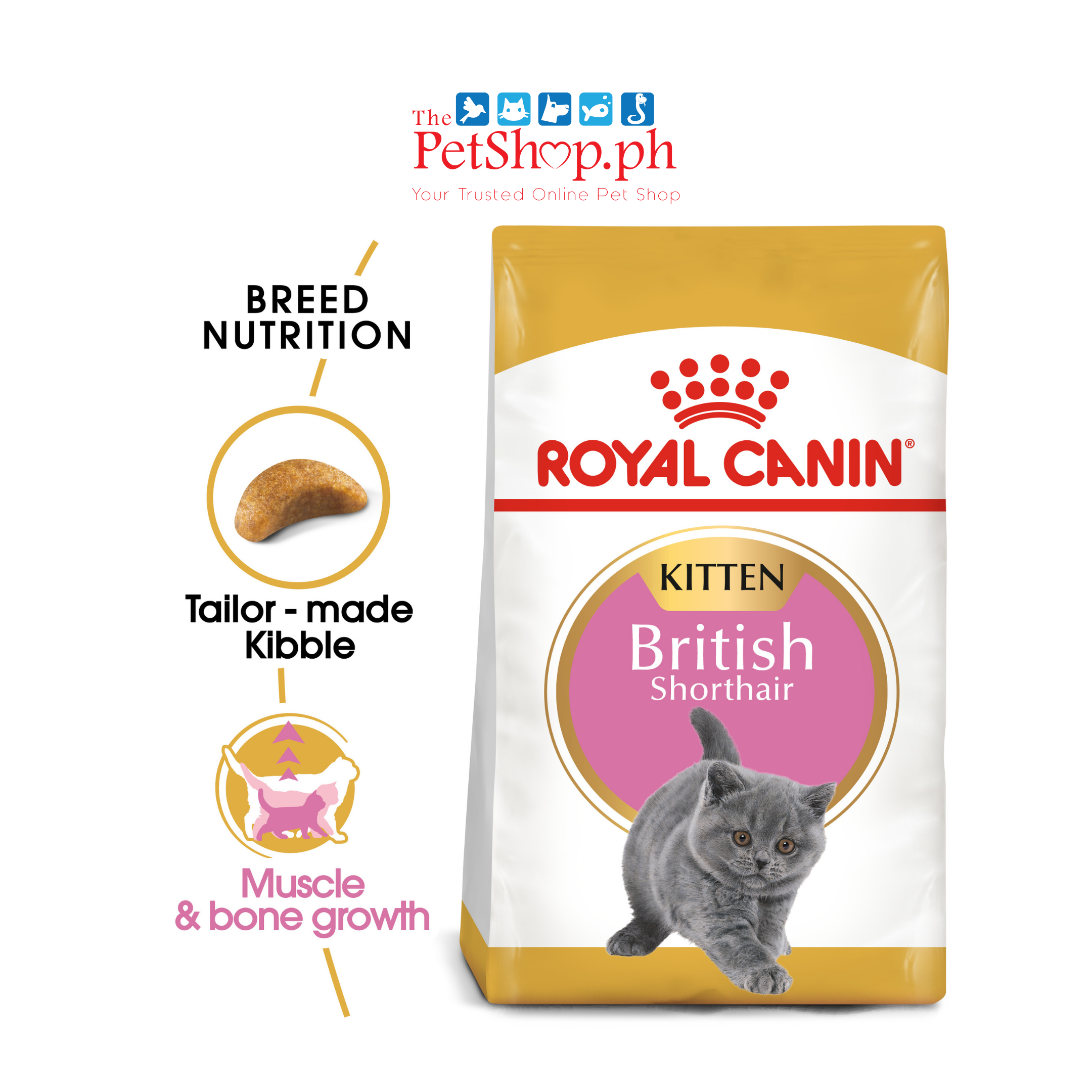 Royal British Shorthair 2kg. Kitten Dry Cat Food -Feline Breed Nutrition