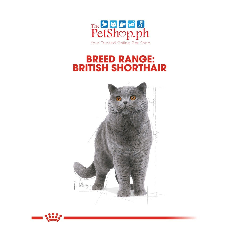 Royal Canin British Shorthair 2kg Adult Cat - Breed Health