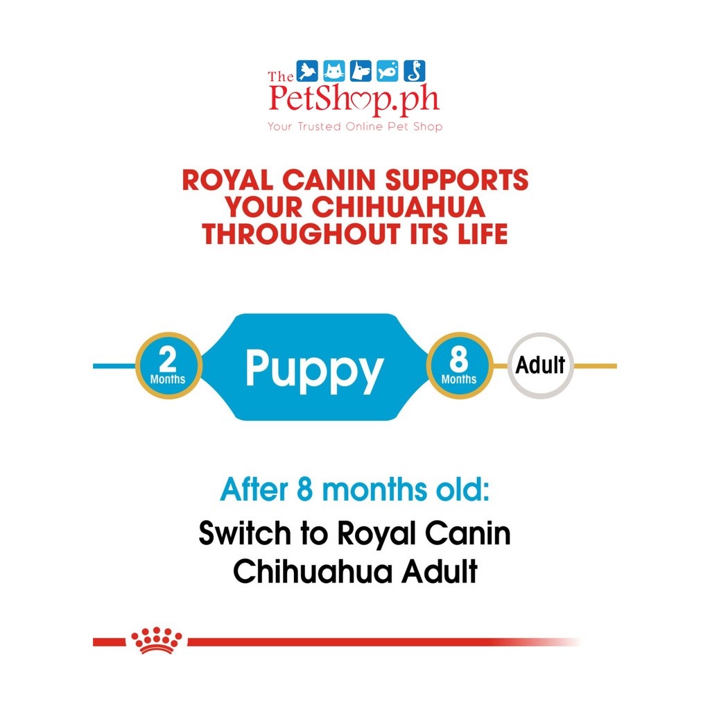 Royal Canin Chihuahua Puppy 500g Dry Dog Food Breed Health Nutrition - Royal Canin