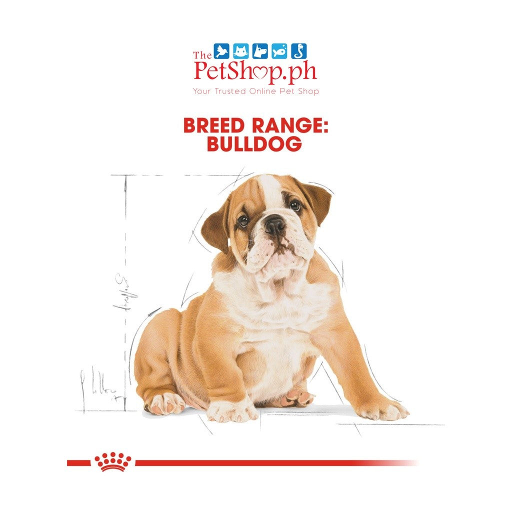 Royal Canin  Bulldog Puppy 3kg