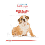 Royal Canin  Bulldog Puppy 3kg