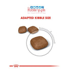Royal Canin Urinary Care 10kg Adult Dry Cat Food - - Royal Canin