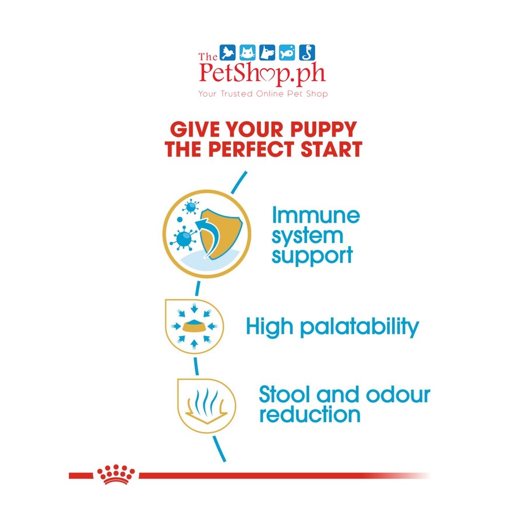 Royal Canin Chihuahua Puppy 500g Dry Dog Food Breed Health Nutrition - Royal Canin