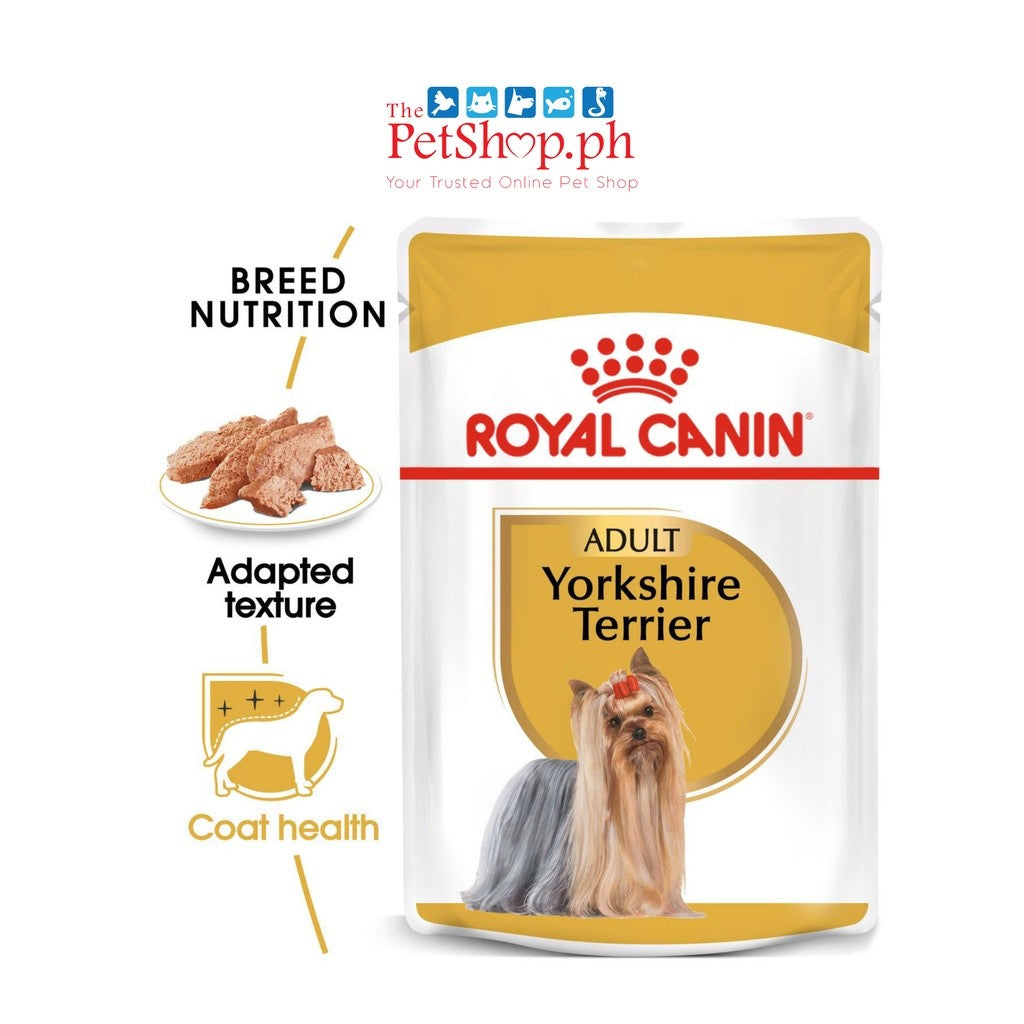 Royal Canin Yorkshire SET 12  Adult Pouch Wet Dog Food Breed Health Nutrition 85g
