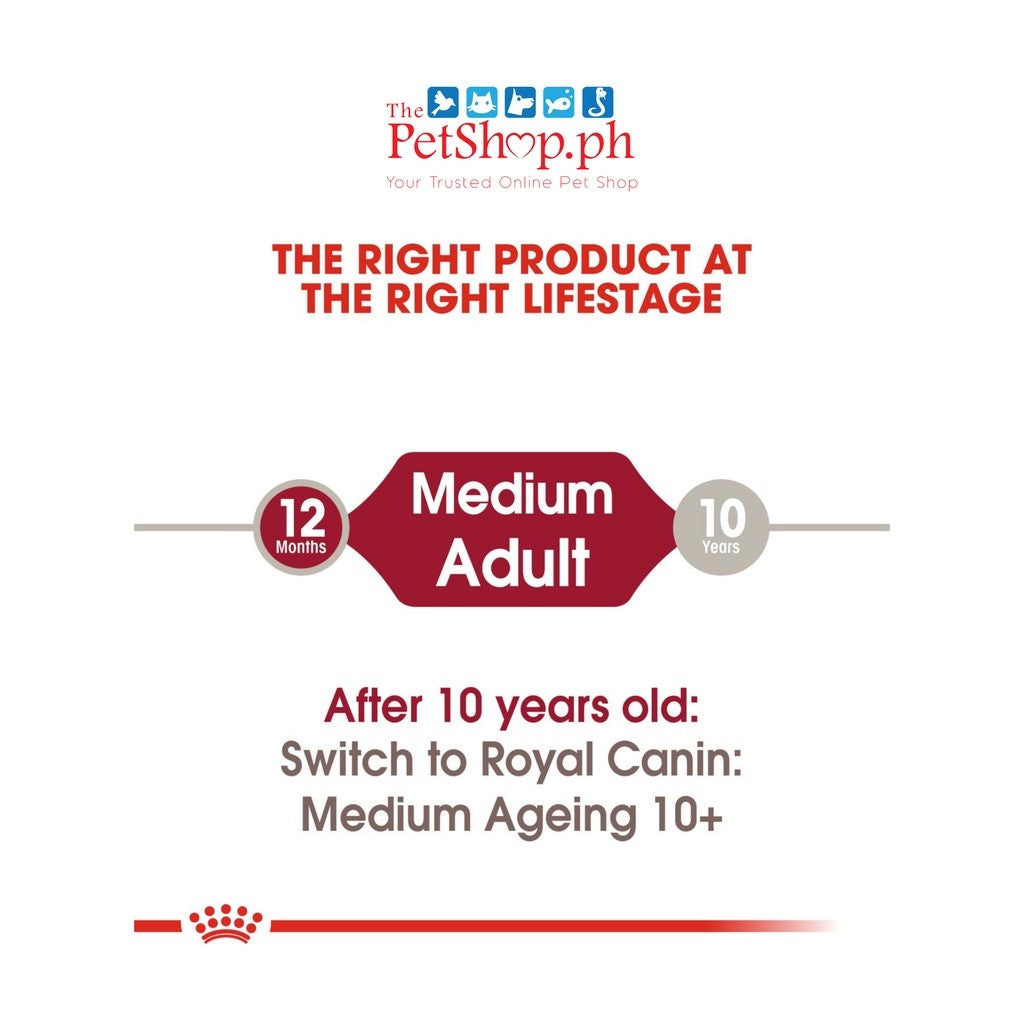 Royal Canin Medium Adult  10's Wet Dog Food  - Set of 10 Size Health Nutrition
