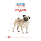 Royal Canin Pug 1.5kg Adult Dry Dog Food Breed Health Nutrition