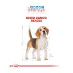 Royal Canin  Beagle 3kg Adult  Dry Dog Food Breed Health Nutrition - Royal Canin