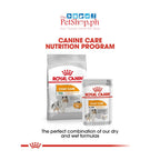 Royal Canin Mini Coat Care Adult 3kg Dry Dog Food  Canine Care Nutrition Loaf