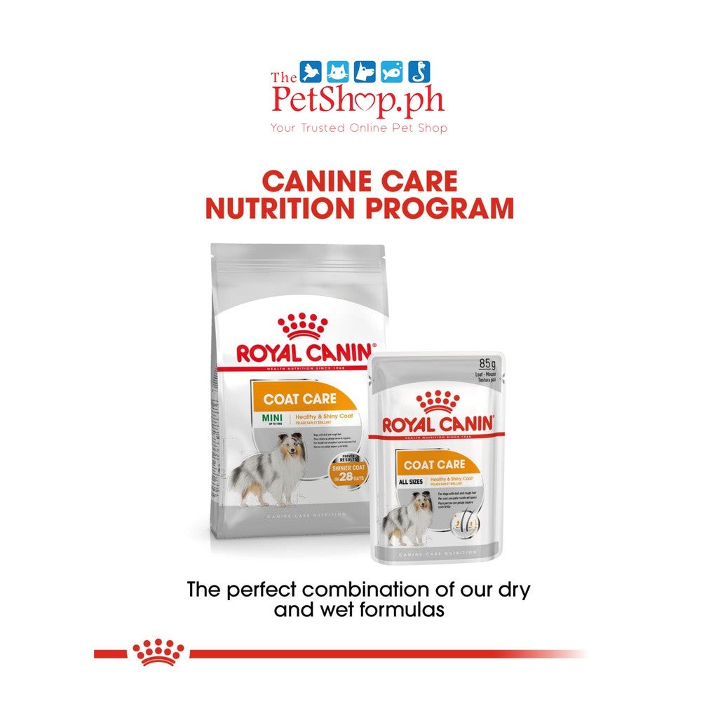 Royal Canin Mini Coat Care Adult 3kg Dry Dog Food  Canine Care Nutrition Loaf