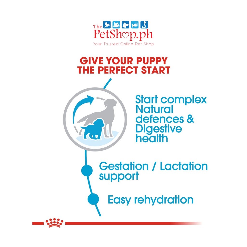 Royal Canin Size Medium Starter Mother & Babydog Dry Dog Food 4kg