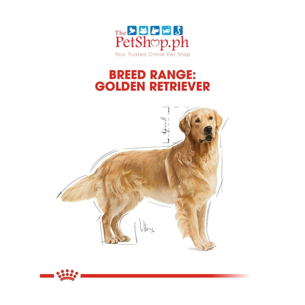 Royal Canin  Golden Retriever 3kg Adult Dry Food Breed Health Nutrition